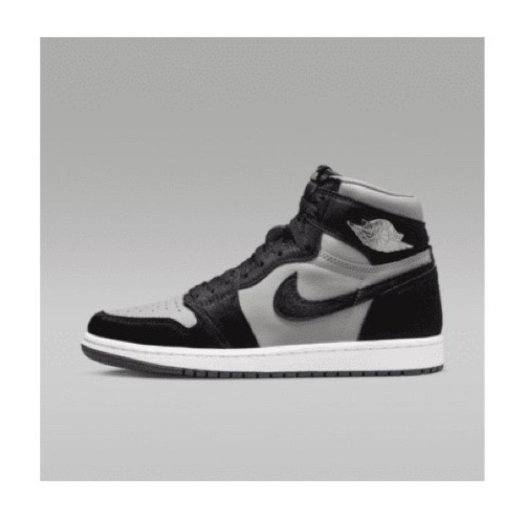 Air Jordan 1 Retro High